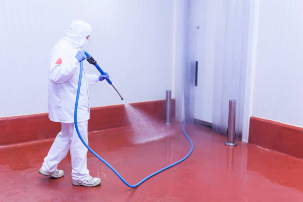 Best Winterizing Services  in Powder Springs, GA